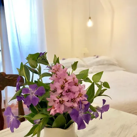 Gæstehus Stecado - Camera Lavanda *